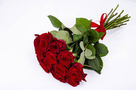 rose bouquet stock photos images and