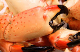 Steam the claws for four minutes. Order Stone Crab Claws Online Stone Crab Market Key Largo Fisheries