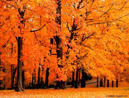 Beautiful Autumn Desktop Wallpapers ...