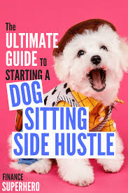 How To Start A Successful Dog Sitting Business On Rover Finance