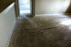carpet cleaning in palm beach gardens