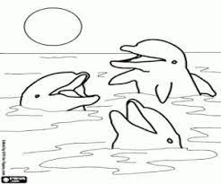 Customize the letters by coloring with markers or pencils. Dolphins And Other Marine Mammals Coloring Pages Printable Games Dolphin Coloring Pages Dolphin Drawing Coloring Pages To Print
