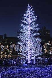 New Outdoor Led Lighted Trees