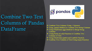 pandas combine two columns of text in