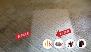 pacific commercial carpet cleaning
