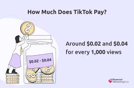 how much does tiktok pay free
