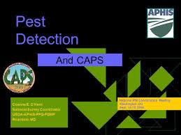 Pest Detection And Caps Coanne E Ohern National Survey