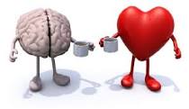 Image result for ‫قلب یا مغز‬‎