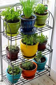 mini indoor container garden for