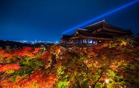 2023 Japan Fall Colors Forecast