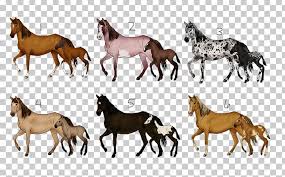 Dale evans' horse, buttermilk, was a buckskin. Mustang Foal Mare American Paint Horse Colt Png Clipart American Paint Horse Animal Figure Bay Buckskin