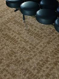 shaw philadelphia queen commercial carpet