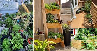 Practical Patio Vegetable Garden Ideas