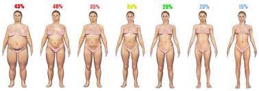 percent body fat do you really know