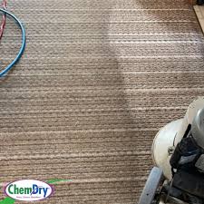 carpet cleaning woodland park co