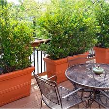 Ideas For Landscaping With Planters