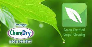 green certified carpet cleaning