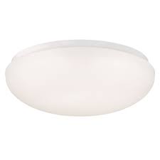 Ceiling Light Fitting Dimmable Led Lamp