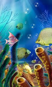 aquarium fish live wallpaper free