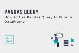 pandas query to filter a dataframe