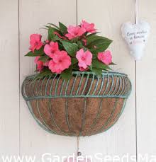 Wall Mounted Hanging Flower Basket