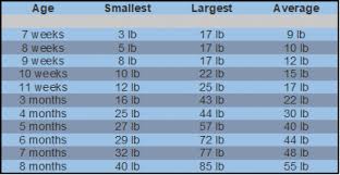 Ideal Weight For Height Chart Australia Ideal Height Weight