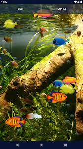 aquarium fish live wallpaper apk