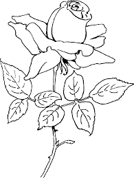 Below the table of coloring pages are included some interesting facts about roses. Printable Roses Coloring Pages Coloring Home
