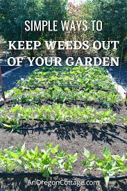 how to keep weeds out of your garden