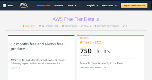 Looking for a great alternative to amazon web services? Aws Free Tier A Free Cloud Starter Pack Lcloud