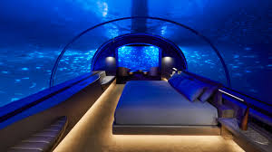 Please download one of our supported browsers. The World S Coolest Underwater Hotels Conde Nast Traveler