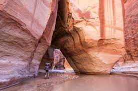There are many different trailheads that you can use to access buckskin gulch. A Hike For The Bucket List Paria Canyon