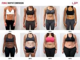 female body fat percene comparison