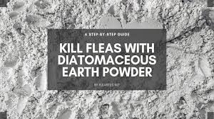 kill fleas with diatomaceous earth