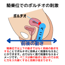 中イキさせる騎乗位のコツは上下ではなく前後に動くべき科学的理由｜裏垢男子で年収2000万