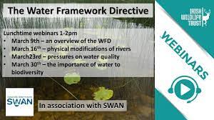 the water framework directive an