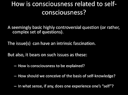 consciousness self consciousness