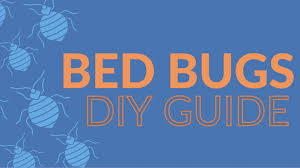 Comprehensive Diy Bed Bug Treatment