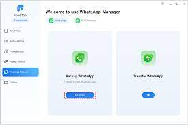 how to backup whatsapp on iphone in 2024
