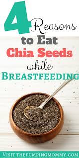 eat chia seeds while tfeeding