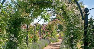 Archways may be used to good purpose in the modern garden. Buy A Garden Pergola Rose Tunnel Or Arbour Direct From Manufacturer Now