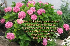 Play our biblical quotes quiz games now! Large Bible Versed Flowers Wallpaper Hot Discussions