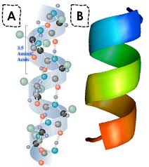 secondary structure of protein