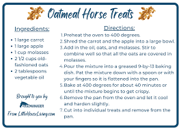 diy recipes for fall themed horse