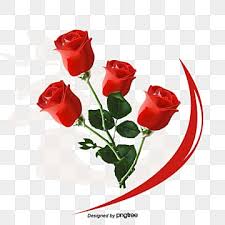 love rose png transpa images free