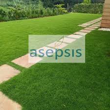 gr carpet rolls asepsis limited