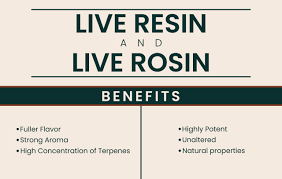 live resin vs live rosin what s the