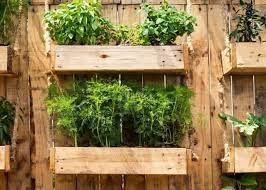 Best Places To Put A Vertical Garden
