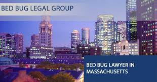 bed bug lawyer in machusetts