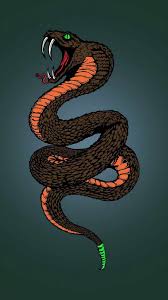 cobra snake vector art wallpaper